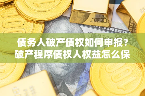 济南债务人破产债权如何申报？破产程序债权人权益怎么保障？