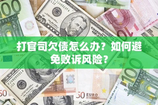 济南打官司欠债怎么办？如何避免败诉风险？