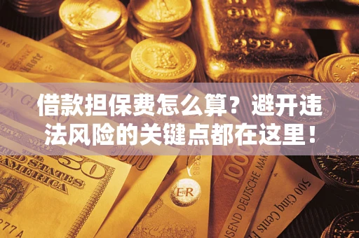 济南借款担保费怎么算？避开违法风险的关键点都在这里！