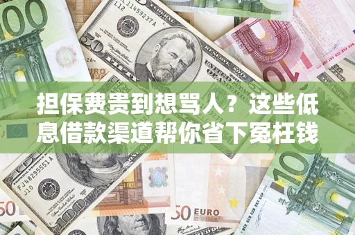 济南担保费贵到想骂人？这些低息借款渠道帮你省下冤枉钱