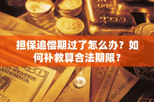 济南担保追偿期过了怎么办？如何补救算合法期限？