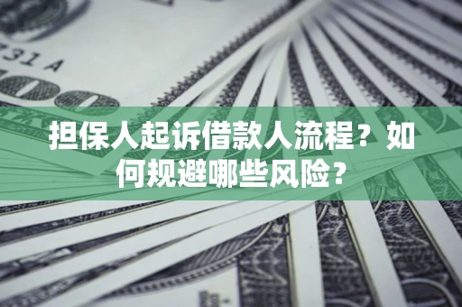 济南担保人起诉借款人流程？如何规避哪些风险？