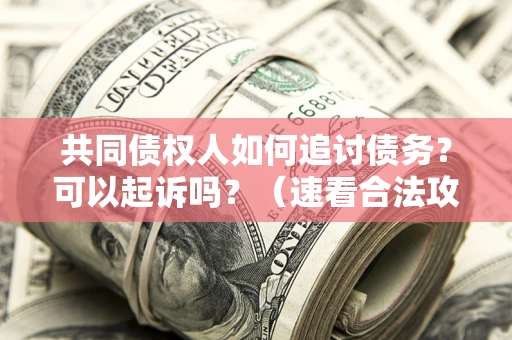 济南共同债权人如何追讨债务？可以起诉吗？（速看合法攻略）